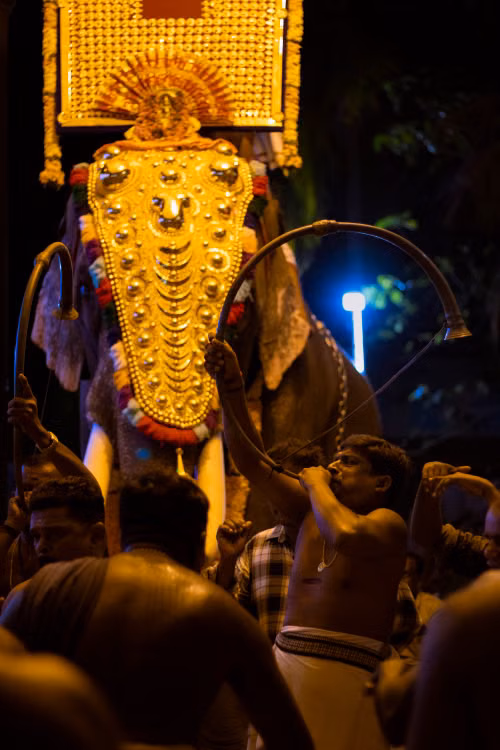 A caparisoned temple elephant in a gold headdress above a night-time festival crowd