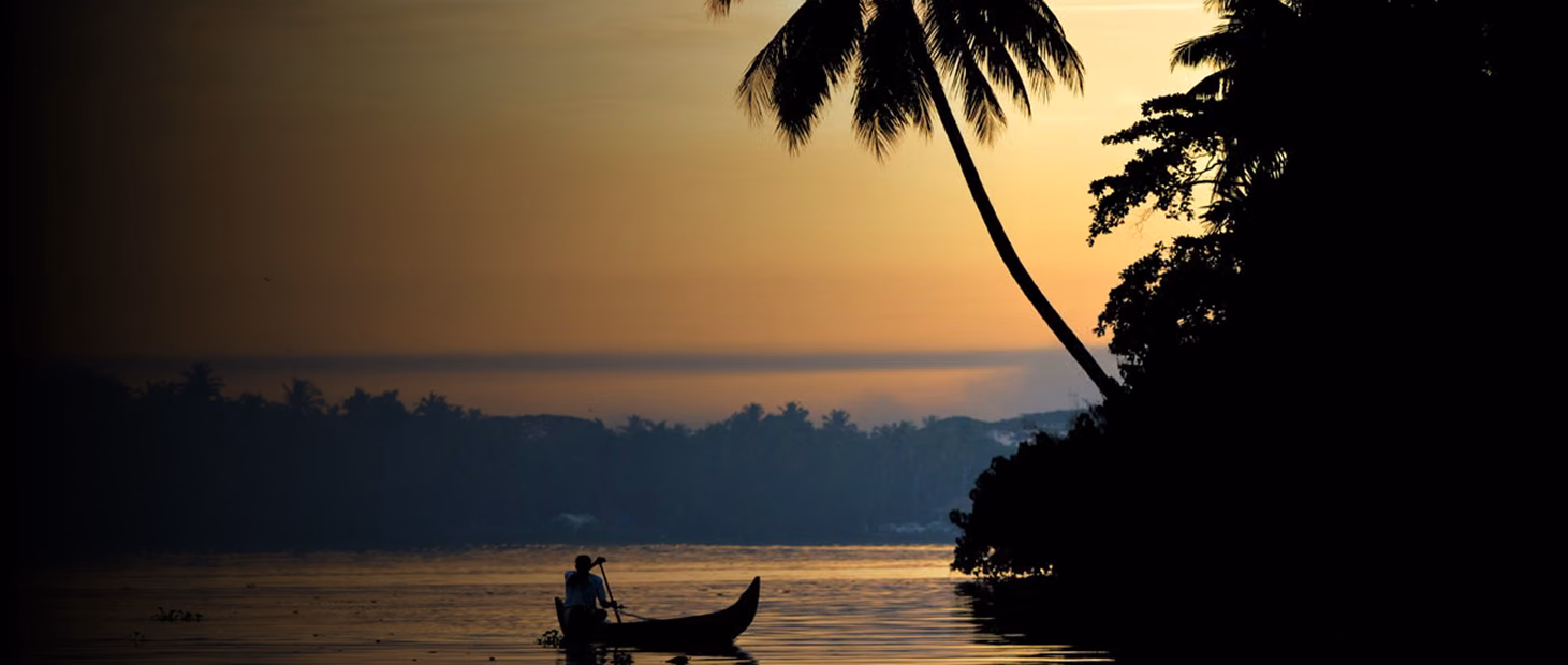 A palm silhouetted against a golden sunset over still water, a lone boat on the lake below