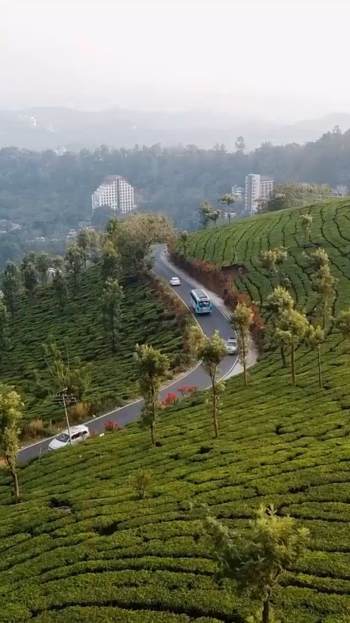 A winding road cutting through a misty Munnar tea plantation, seen from above