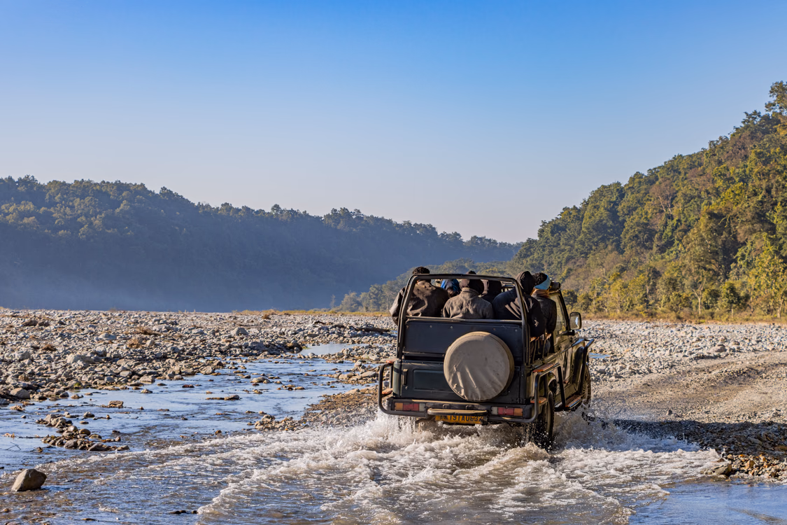 A jeep crossing a shallow river between forested banks