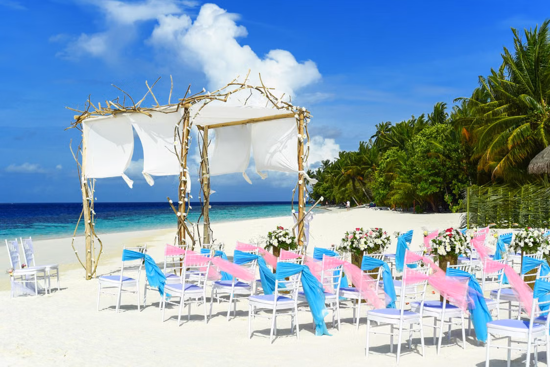 A driftwood wedding arch and rows of chairs with pink and blue sashes on a palm-fringed beach, Goa