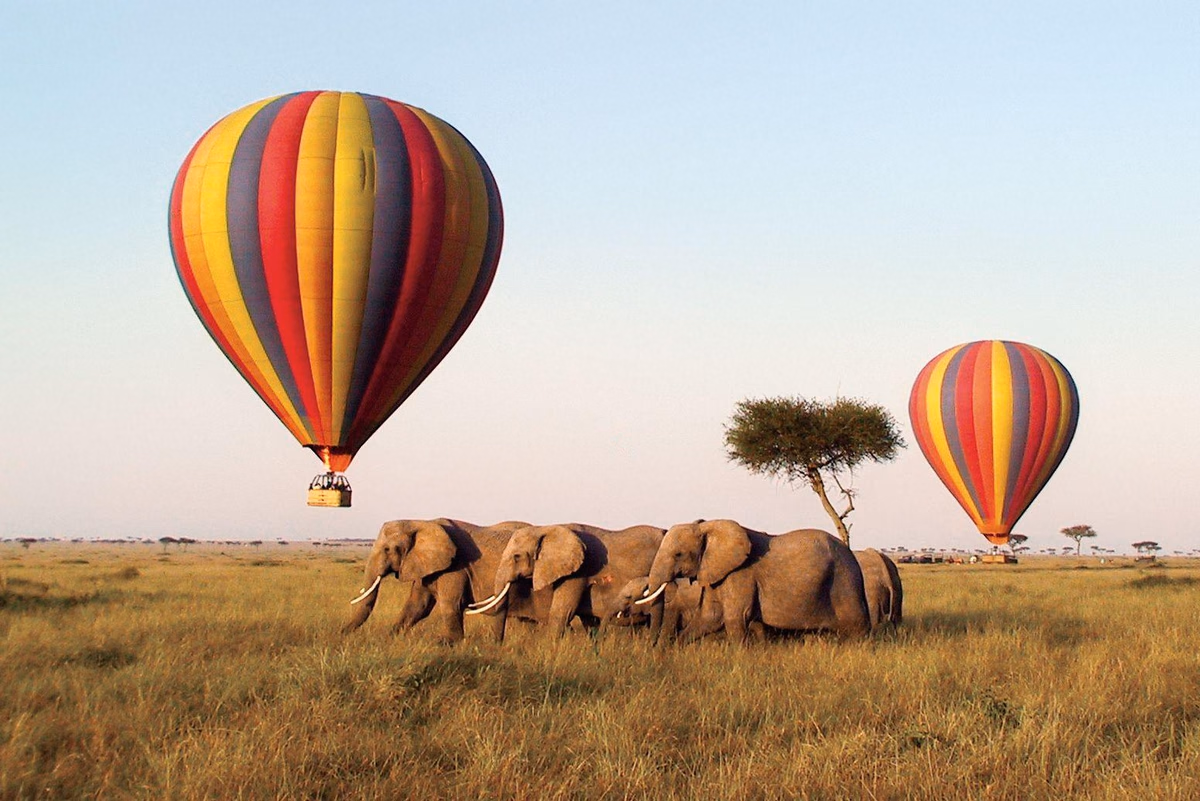 Hot air balloons over elephants on the Kenyan savannah