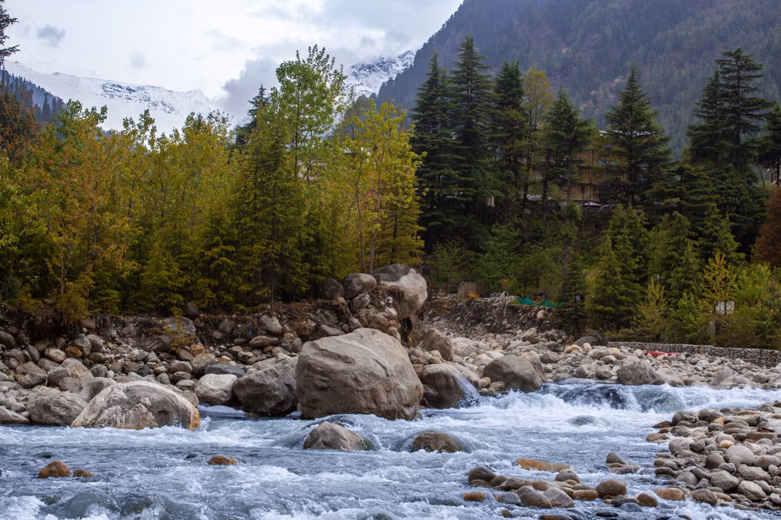 A river tumbling past boulders and pines