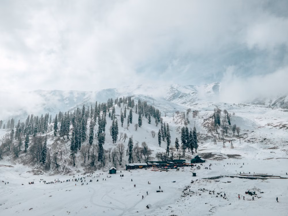 A snowy Solang Valley with pine forest and visitors on the slopes