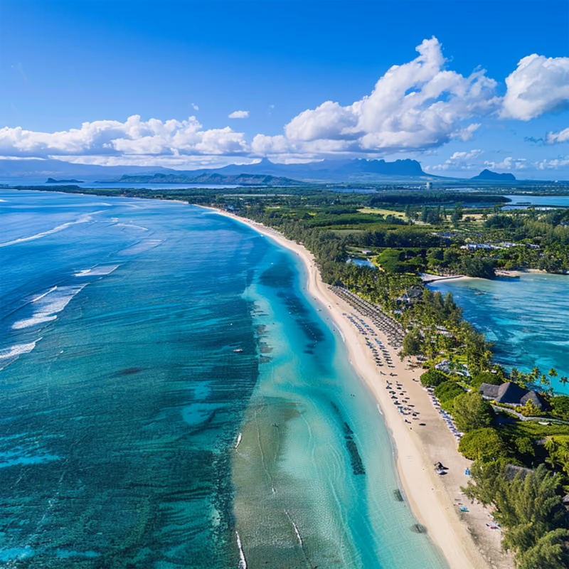 A palm-lined white-sand beach along a turquoise lagoon