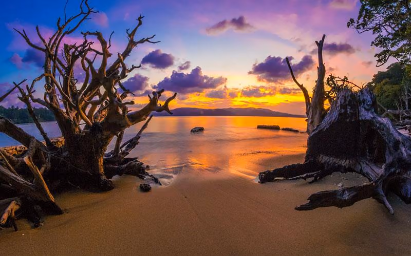 Driftwood silhouetted on the shore at Chidiya Tapu at sunset