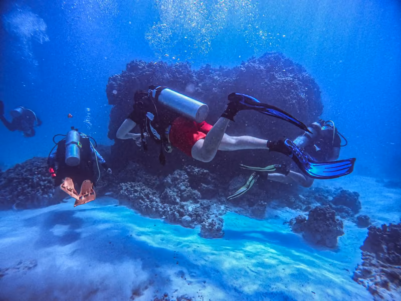 A scuba diver exploring a coral reef