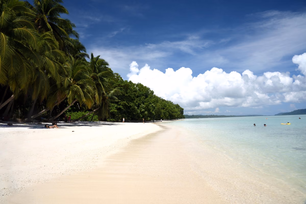 A white-sand beach fringed by palms on Havelock Island