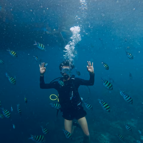 A scuba diver among striped fish underwater