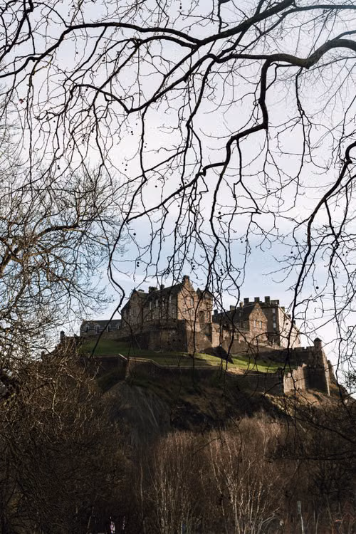 A castle on a hilltop behind bare branches